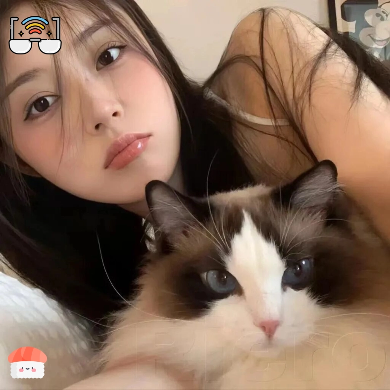 沈先生